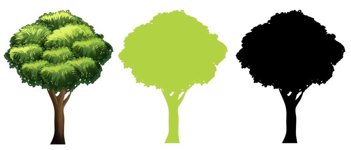 Conjunto de diseño de árbol diferente vector