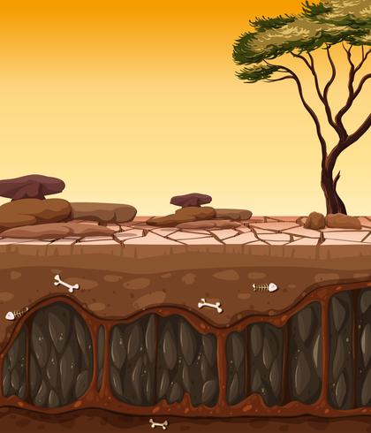 Above and dry cracked ground vector