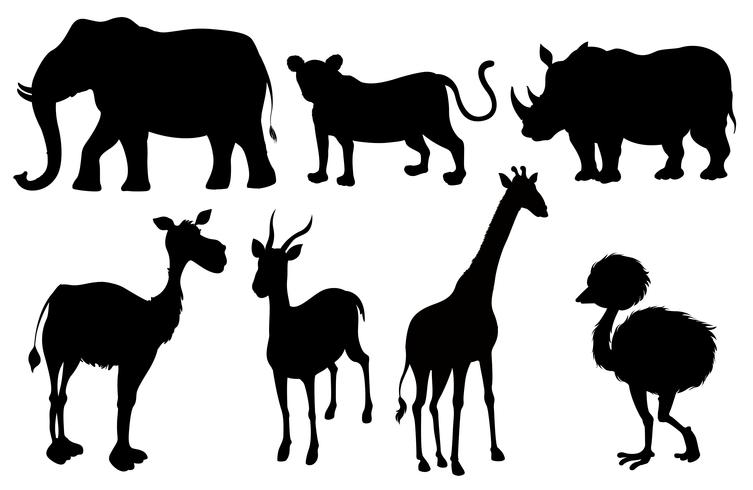 Conjunto de siluetas de animales exóticos. vector