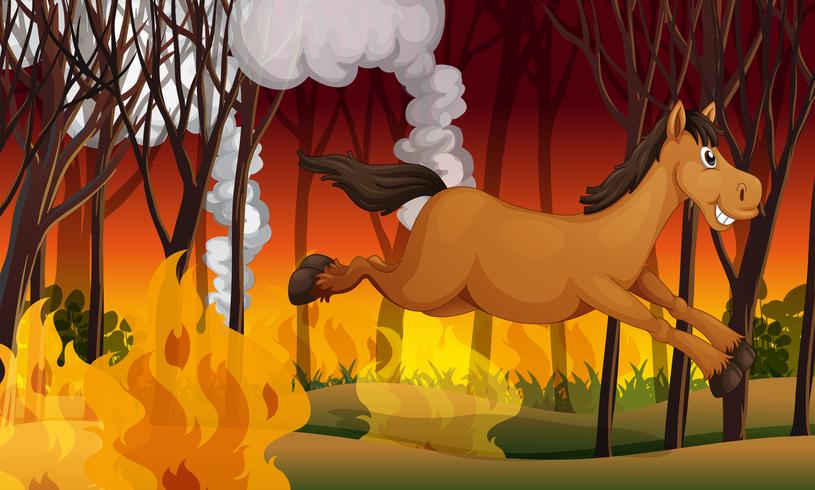 Horse running away from a fire vector
