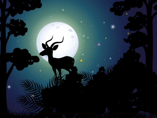 A Silhouette Deer Nigh vector