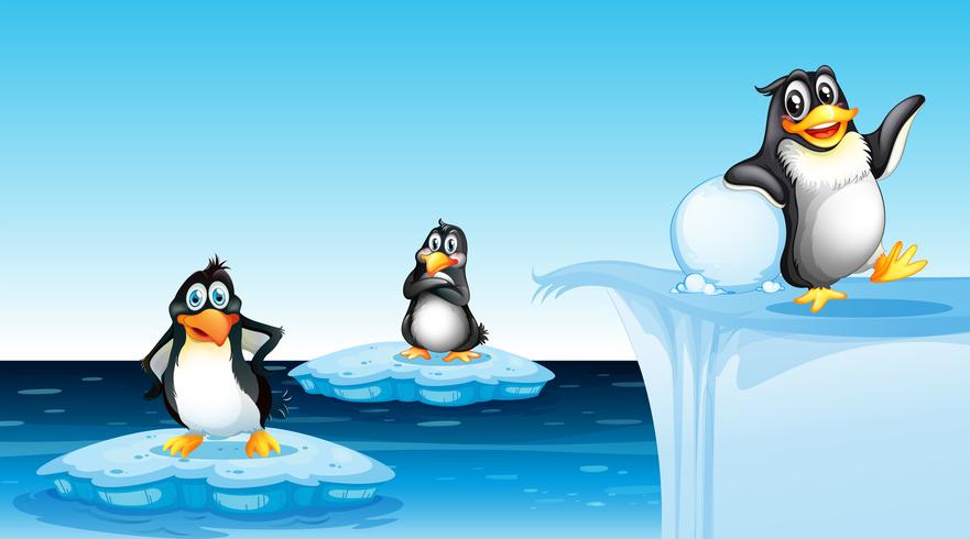 Penguin in arctic landscape vector