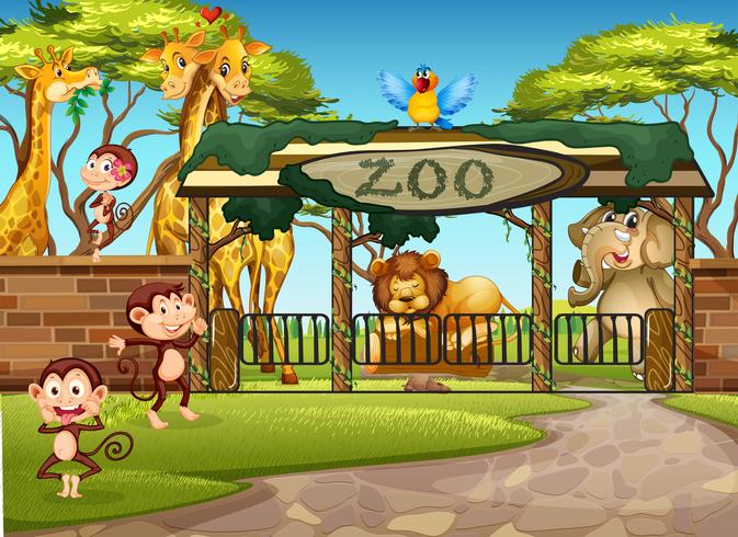 Wild animals in the zoo vector