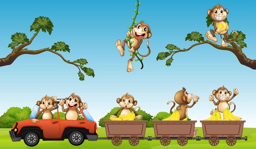 Monkey family on the car vector