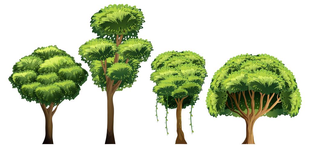 Set of different tree vector