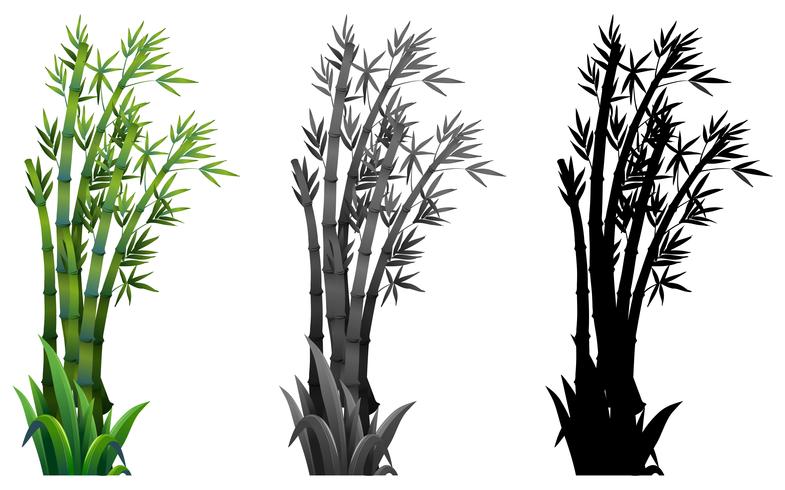 Set of bamboo plant vector