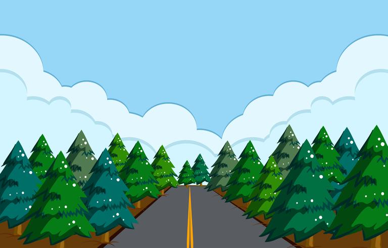 Un hermoso paisaje de carretera. vector