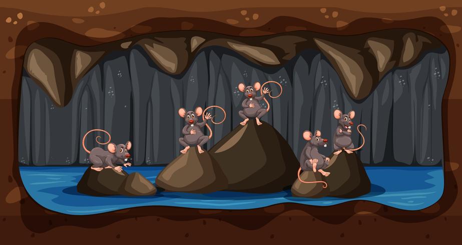 A Dirty Underground Rat House vector