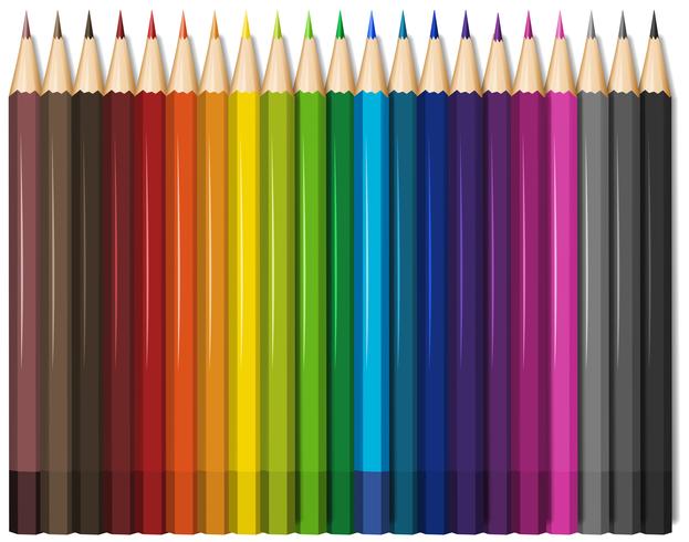Color pencils in twenty one colors vector