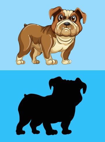 Bulldog and its silhouette vector