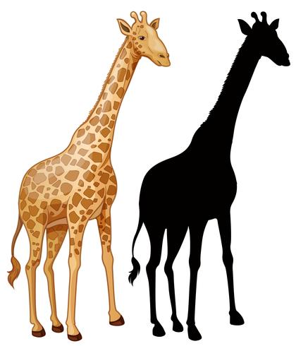 Set of giraffe character vector