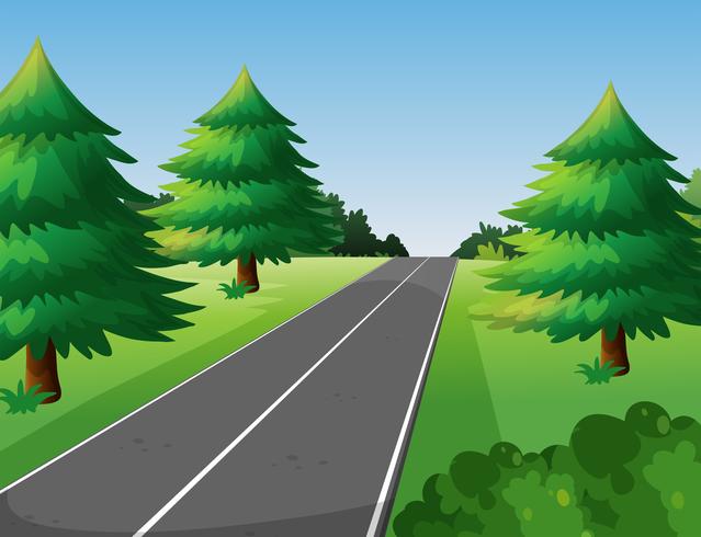 Scene with pine trees along the road vector