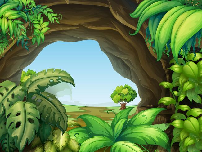Plant in the cave vector