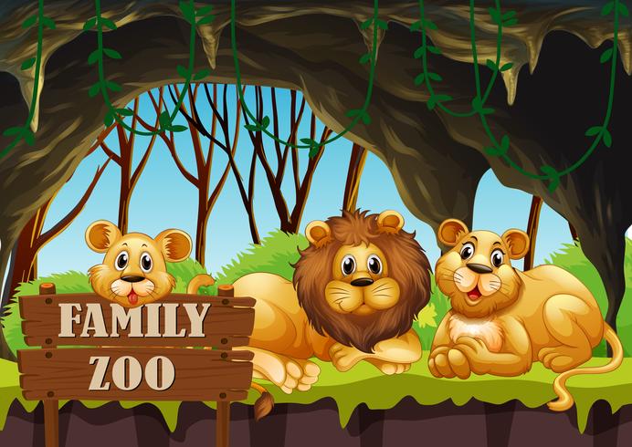 Lion living in the zoo vector