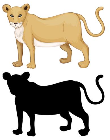 Set of female lion character vector