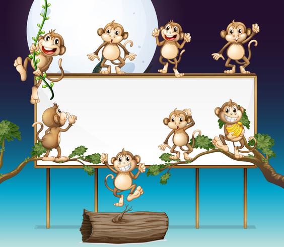 Playful Monkey and Whiteboard vector