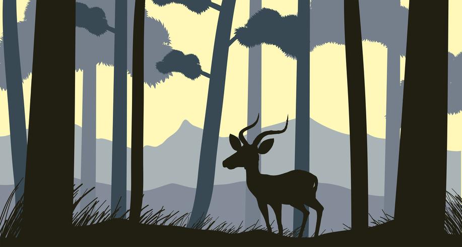 Background scene with silhouette gazelle in forest vector