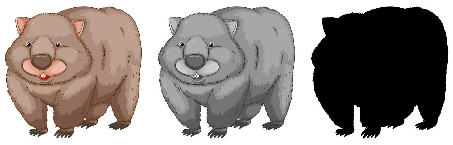 Conjunto de caracteres wombat. vector