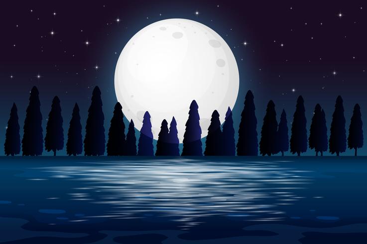 A silhouette night forest scene vector