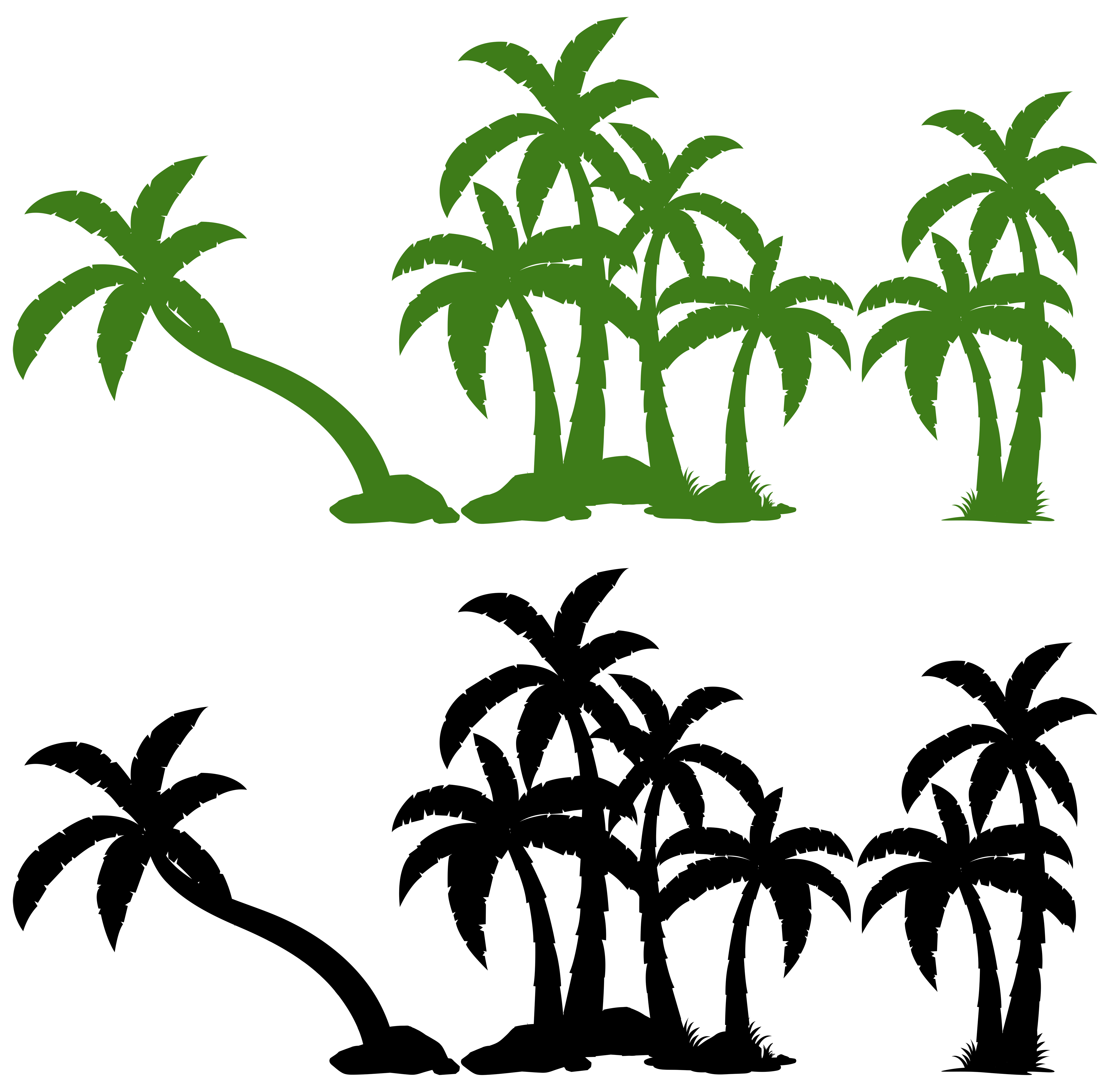 Palm Tree Vector
 Set of palm tree Vector Art at Vecteezy