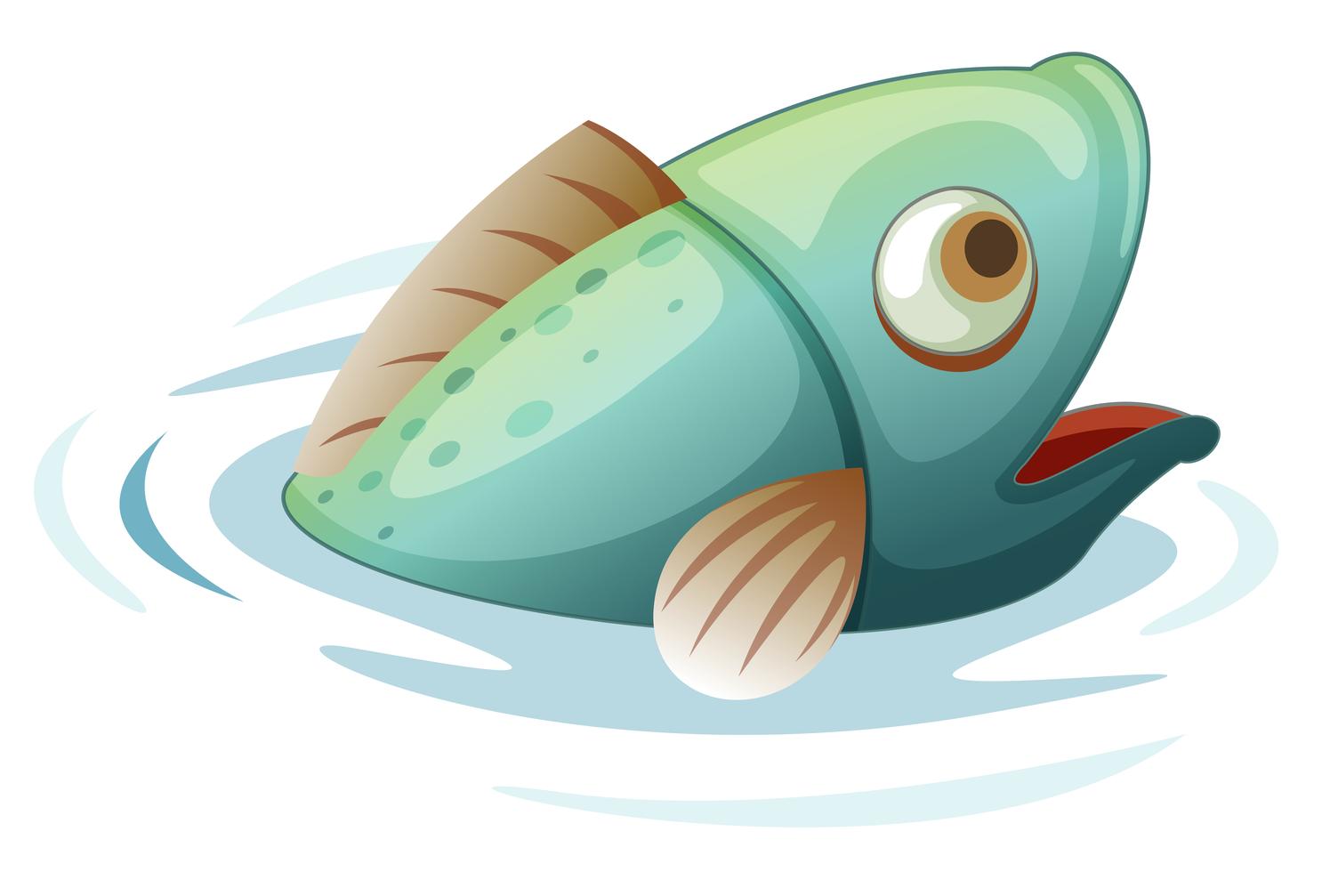 Fish in the water 433345 Vector Art at Vecteezy
