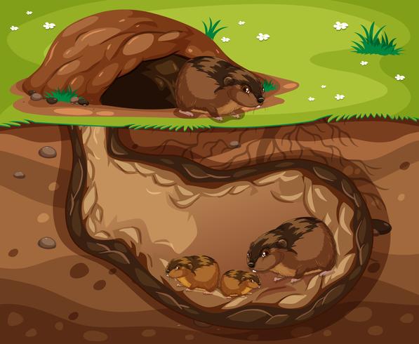 Guinea Pig Family Living Underground vector