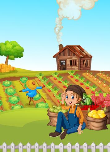 A farmer harvest vegetable vector