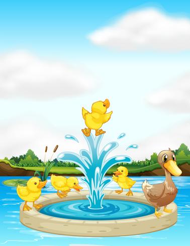 A duck family at the fountain vector