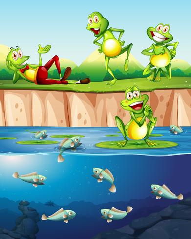 Frog next to the pond vector