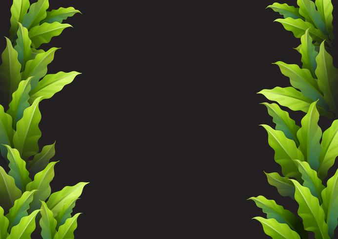 Background template with green leaves vector