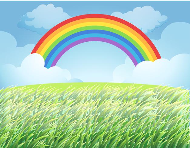 A Rainbow Over Rice Paddy vector