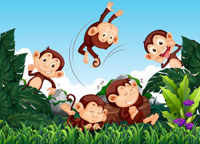 Monkey in the wild vector
