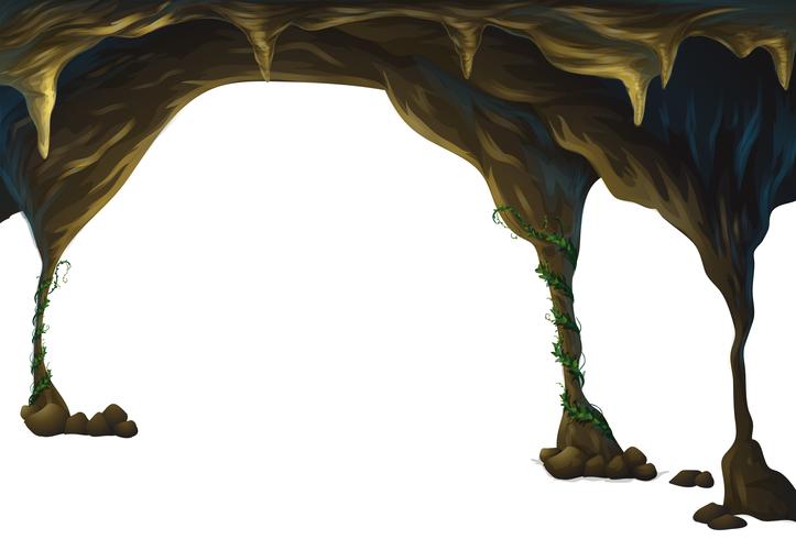 Cave vector