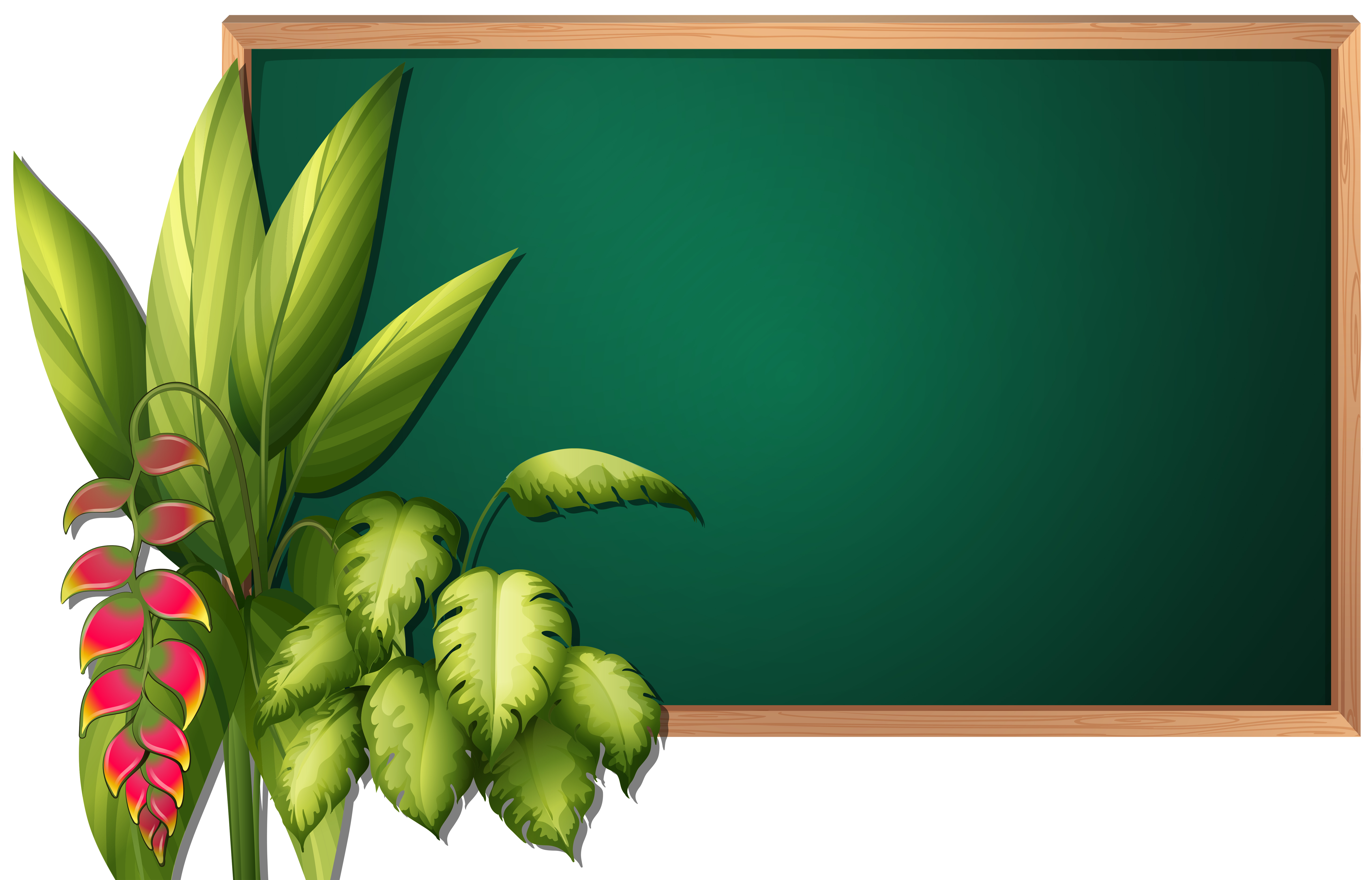 Bird of paradise flower frame template - Download Free ...