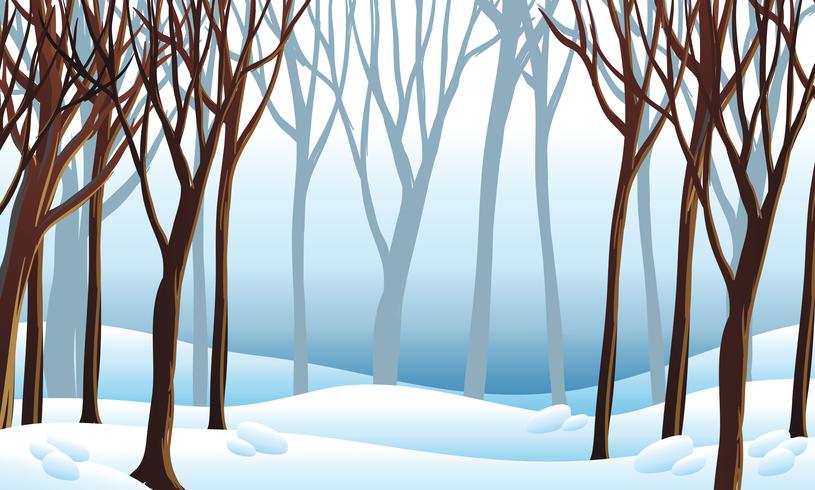 Escena de fondo con nieve en el bosque vector