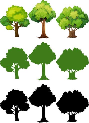 Conjunto de diferentes arboles vector