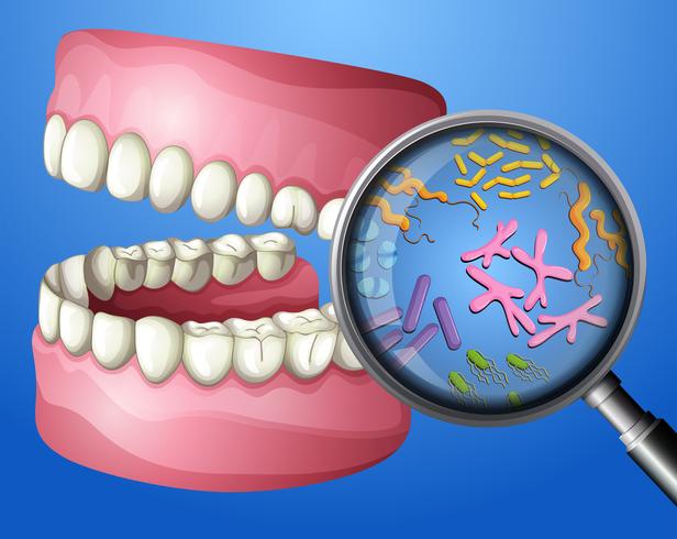 A Close-up Oral Bacteria vector