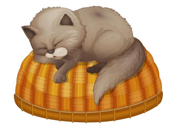 Cat sleeping vector