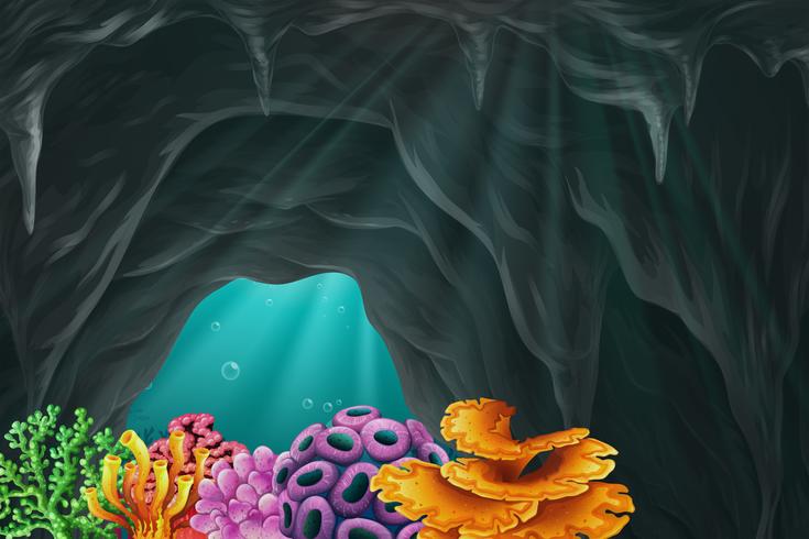 Coral reef in the cave underwater vector