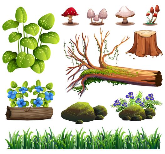 A Set of Forest Element vector