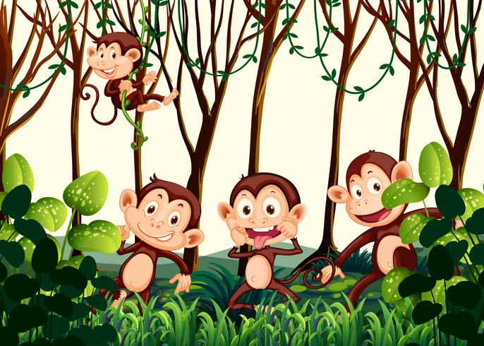 Monkey living in the jungle vector