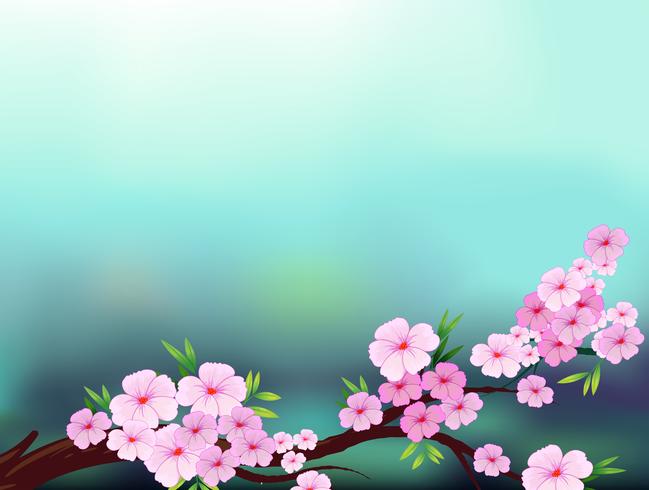A stationery with cherry blossom flowers vector