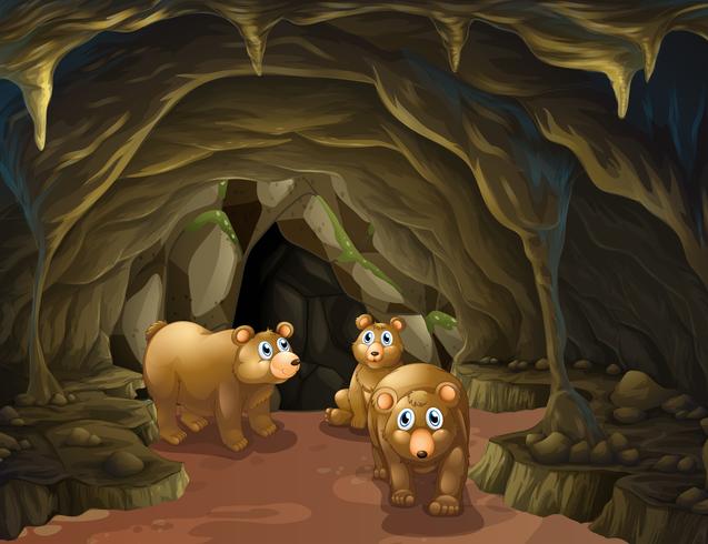 Familia de osos viviendo en la cueva. vector