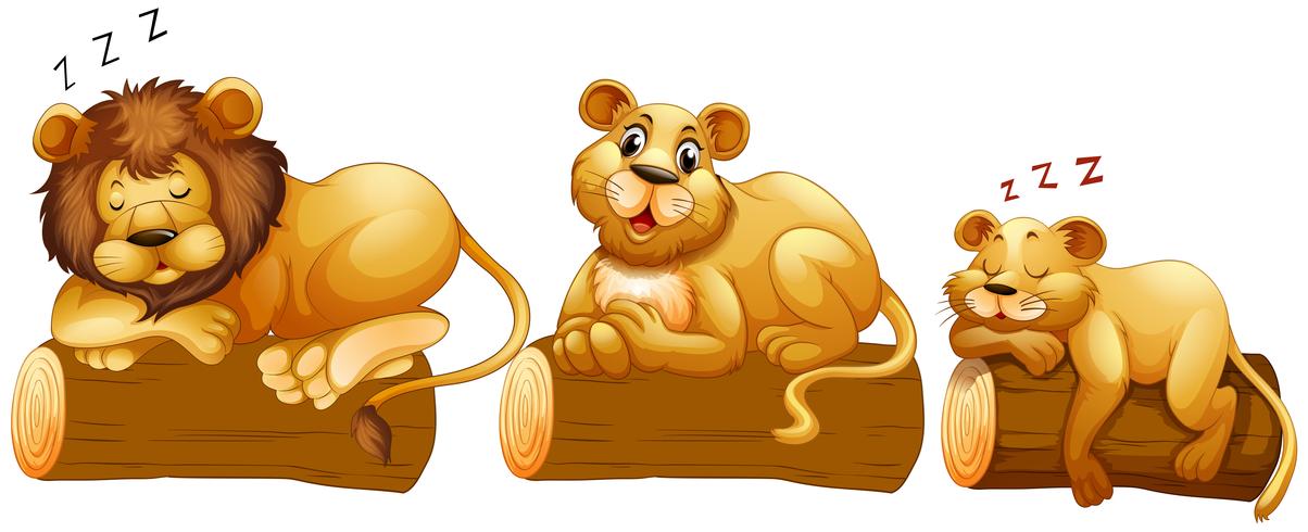 Lion family on the log vector