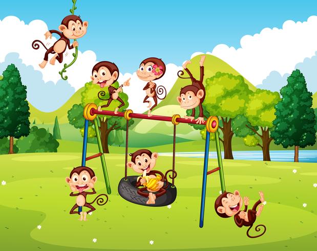 Many monkeys in the park vector