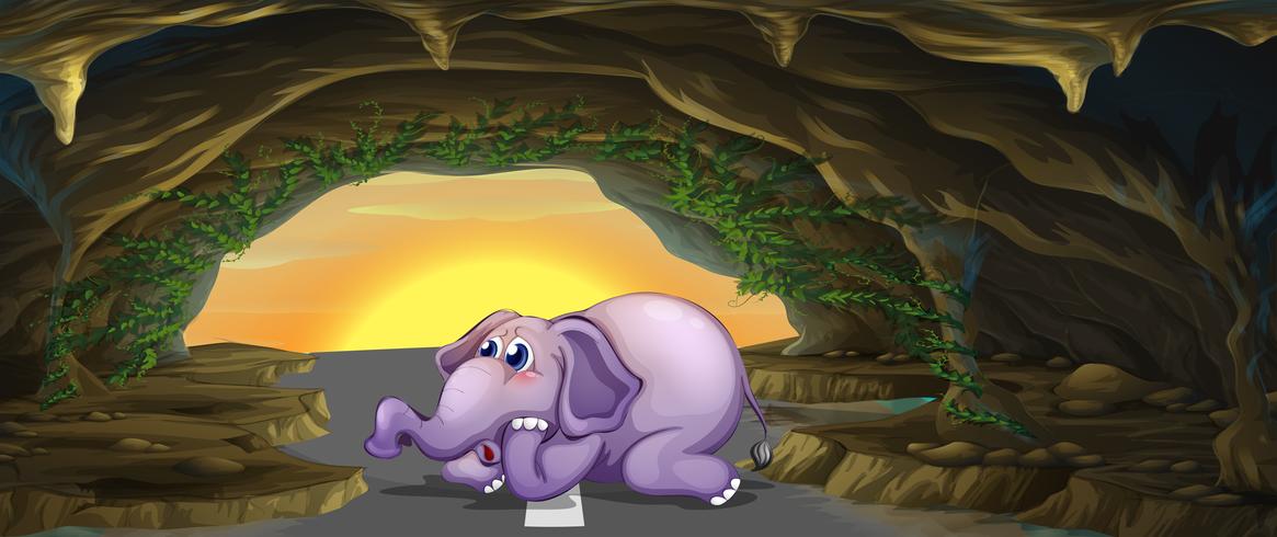 A terrified elephant in the middle of the road vector