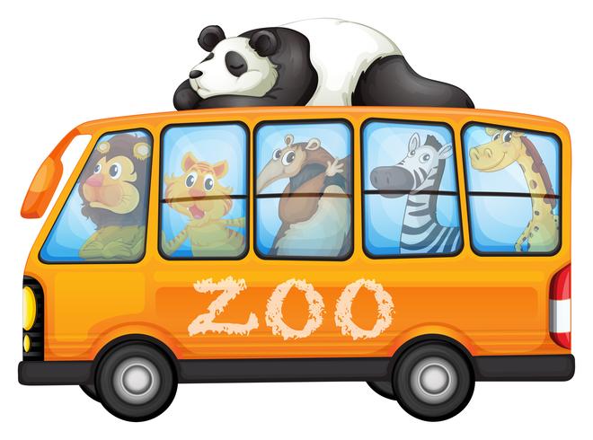 Animales en bus vector