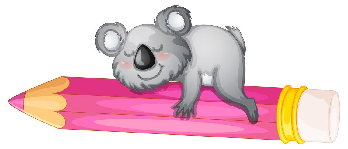 bear sleeping on pencil vector