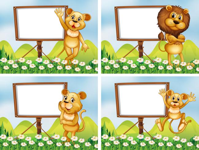 Lions with wooden signs vector