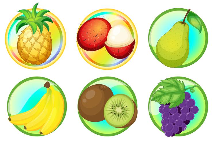 Fresh fruits on round badges vector